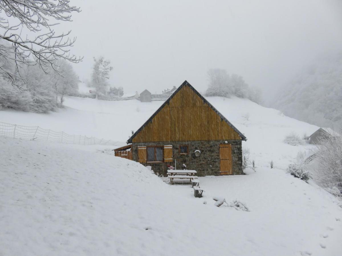 Le Bordarriben sauna&spa 4 étoiles Gèdre Exterior foto